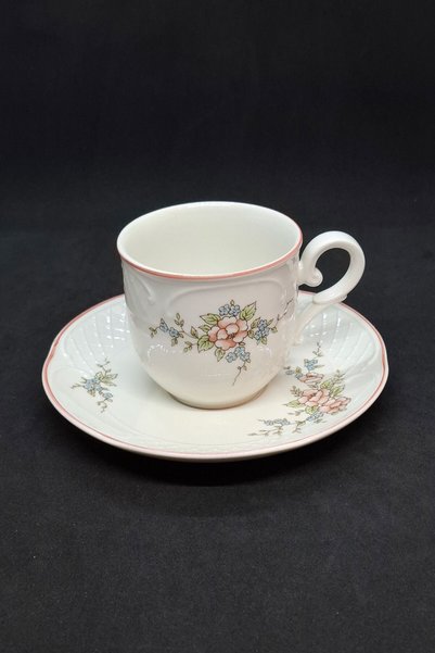 Generic Brand Original German Porcelain Ros.ette Cup and Saucer, 2-Piece Set,...