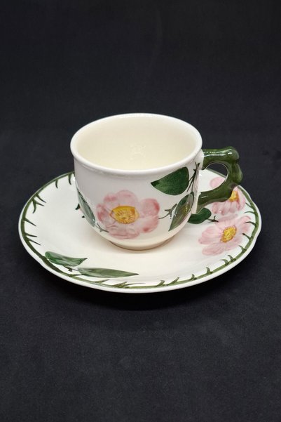 Generic Brand Wild-Rose Hand Painted Cup and Saucer