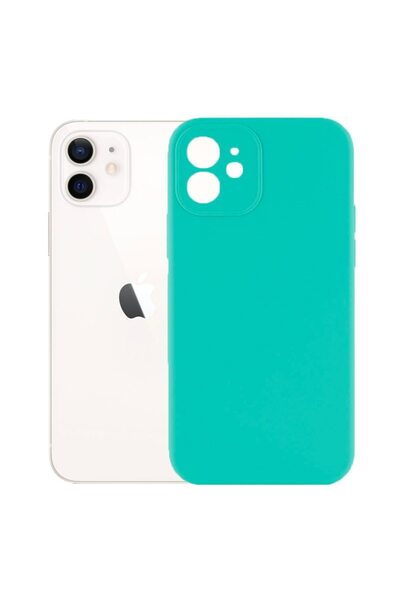 FONIX Protective case, velvet interior, compatible with Apple iPhone 12 Mini,...