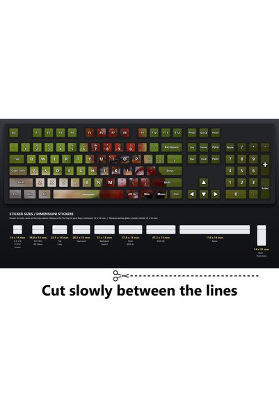 OEM Set Stickere Tastatura Aripa de Libelula Macro, Design Continuu, Vinil Lu...