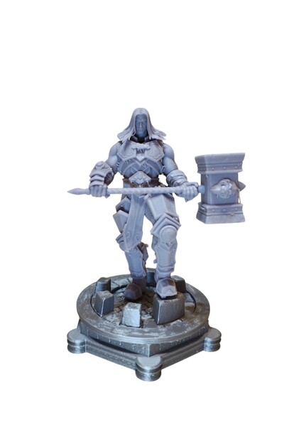 OEM Arthas Menethil The Lich King,World of Warcraft Blizzard 17 cm