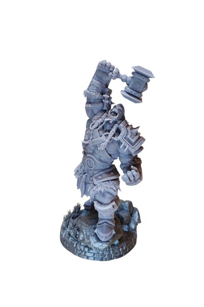 OEM Thrall World of Warcraft Blizzard cat b