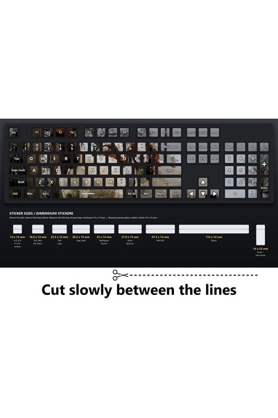 OEM Stickere Tastatura Capra dând cu capul în gard, Design continuu, PVC Luci...