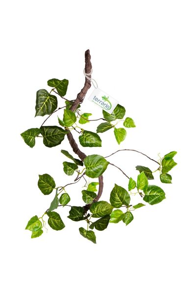 Terrario PLANTĂ ARTIFICIALĂ DE IEDERĂ SUSPENDATĂ PENTRU TERARIU ȘI ACVARIU TR...