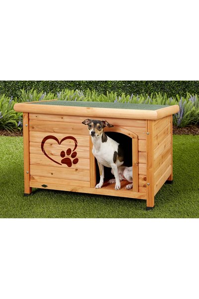 Eni Design A4 Reusable Decorative Stencil - Heart Paw (1138)