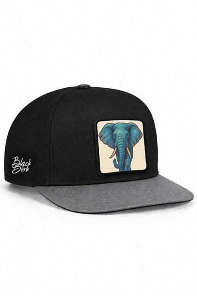 BlackBörk Șapcă hip-hop gri-negru cu logo-ul Fil