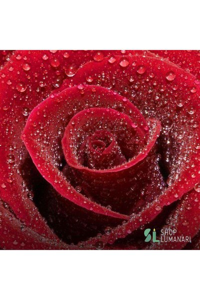 ShopLumanari Αρωματικό έλαιο για κεριά « Velvet Rose » - 50 γρ.