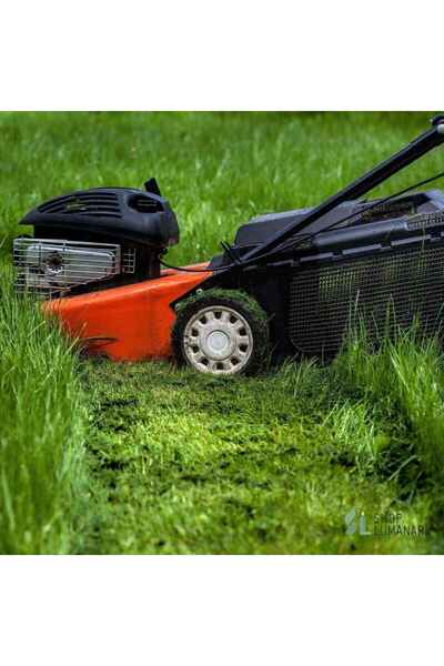 ShopLumanari Ulei parfumat pentru lumanari Freshcut Grass (Iarba proaspat tai...