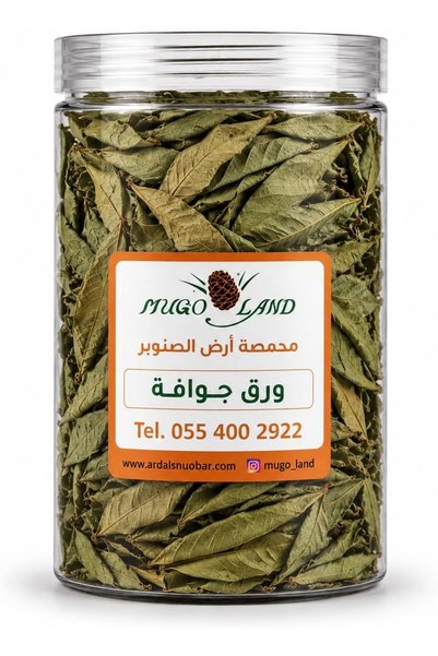 MUGO LAND High Quality Guava Paper 50 gm