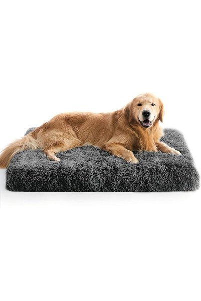 Dimute Shop DIMUT Soft Plush, Large Dog Bed Mattress, Large Detachable Washab...