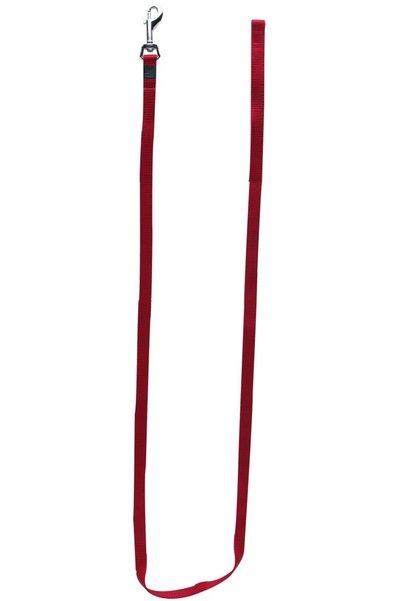 Dogit Nylon Single Ply Training Dog Leash, Small, Red