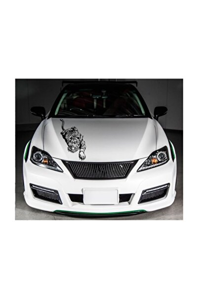 TSC Kaplan Ön Kabut Sticker Araba Stickerı Yapıştırma