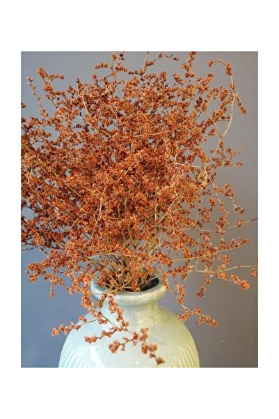 Kuru Çiçek Deposu Şoklanmış Turuncu Deniz Otu(tatarika) (dökülme Yapmaz) ,kuru Çiçek