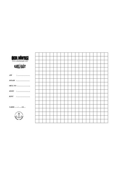 Okul Dünyası ورق مربعات (طول A4) 100 قطعة