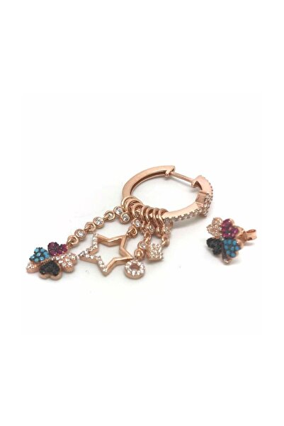 Erer Gümüş Gümüş Renkli Taşlı Yonca Küpe Nz14e2