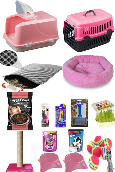 ÇINAR DİZAYN Xxl Kedi Tuvalet Seti Ve Ihtiyaçları