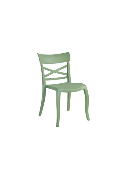 Papatya Xsera Sandalye Pastel Yeşil Mutfak Sandalyesi Kolçaksız