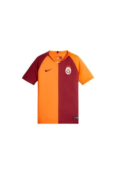 Nike Galatasaray 2018/2019 Genç Çocuk Iç Saha Forması 919239 837