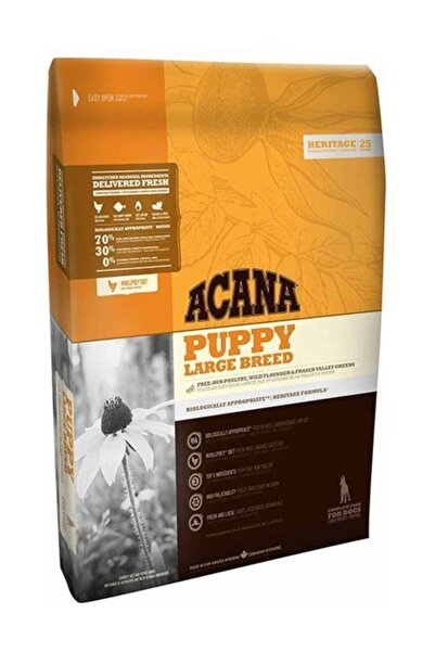 Acana Kopek Mamasi Modelleri Fiyatlari Trendyol