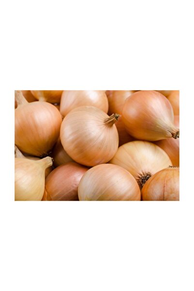 VİTAMİNLİ SEBZELER Kuru Soğan (10 Kg.)