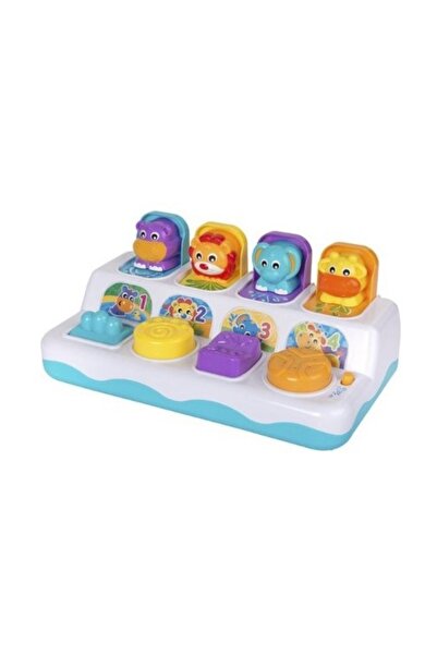 Playgro Işıklı Sesli Eşleme Oyunu