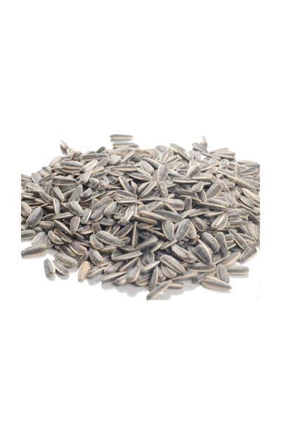 ÇIT ÇIT KURUYEMİŞ Kavrulmuş Tuzlu Dakota Ay Çekirdeği 5 Kg