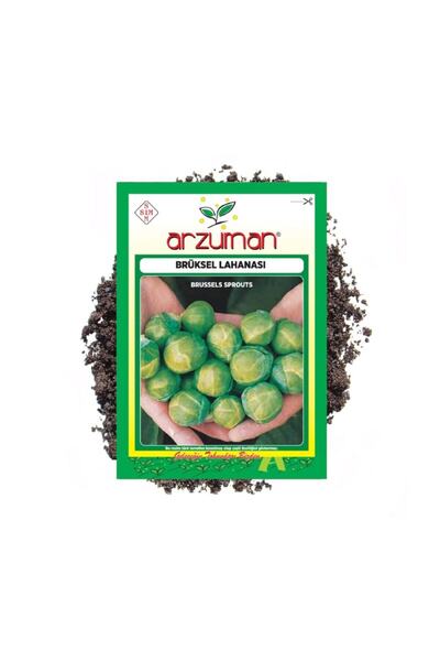 Arzuman Tohum Arzuman Brüksel Lahanası Tohumu