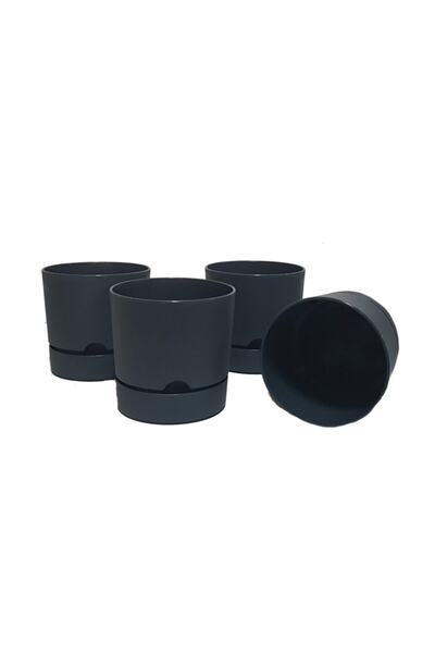 Poliwork 4'lü Begonya Antrasit  Tabaklı Saksı 1.8 lt - 15 cm