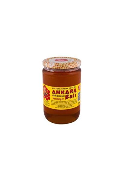 Atatürk Orman Çiftliği Süzme Çiçek Bal (ankara Balı) (850 Gr)