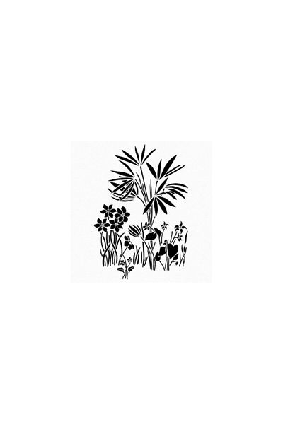 Cadence Bn40 25x36 Bn Series Stencil