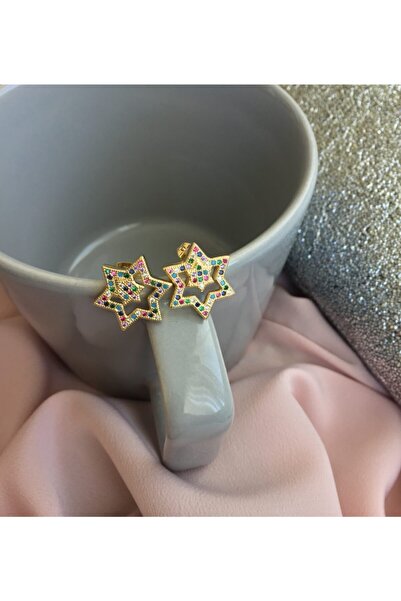 Ankı Star Figured Steel Color Stone Earrings