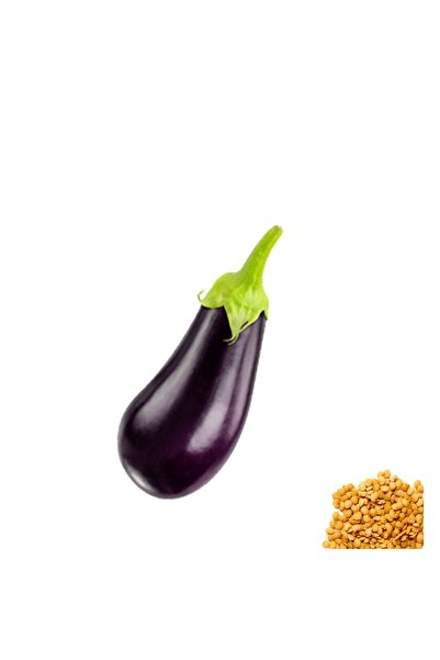 Dolma Antep Patlican Tohumu 1000 Adet