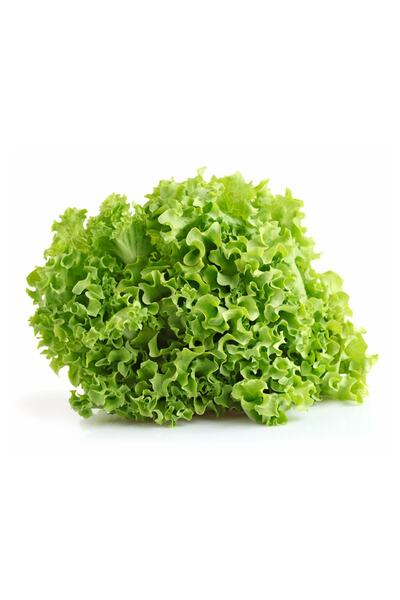 Yerli 4000 Ad- Iri Kıvırcık Marul Tohumu. 1 M² Için 15-20 Ad Tohum