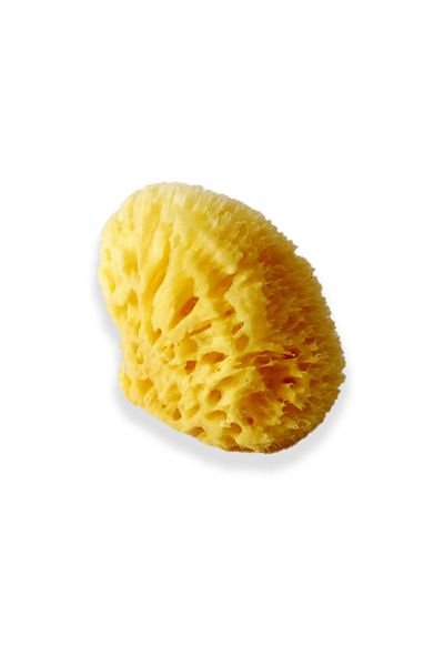 BAZAAR 4 Baby Bath Natural Sea Sponge (100% Original Sea Sponge) 08