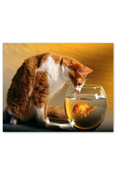 Cakatablo Ahşap Tablo Fanustaki Balık Ve Izleyen Kedi (35x50 Cm Boyut)