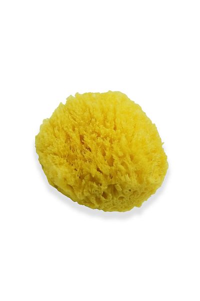 BAZAAR 4 Unisex Baby Yellow Bath Natural Sea Sponge