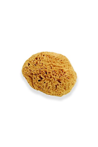 BAZAAR 4 Unisex Baby Yellow Bath Natural Sea Sponge