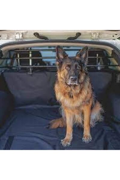 Kopek Citi Fiyatlari Ve Yorumlari Trendyol Kopek Citi Fiyatlari Ve Yorumlari Trendyol