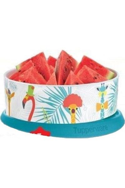 Tupperware Flamingo Patterned Single Finger Cookie Box Turquoise 2.5lt Tight Lid Storage Container