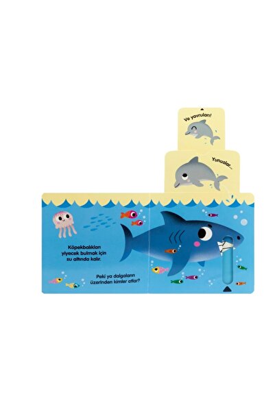 Eolo Denizde Yaşam Sürgülü Çocuk Kitapları