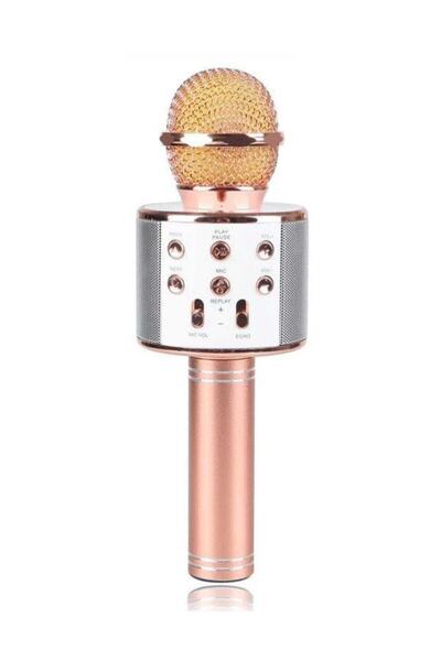 Wster Karaoke Mikrofon Bluetooh