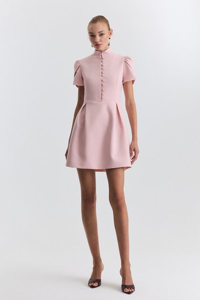 Antioch Pleated Sleeve Mini Dress