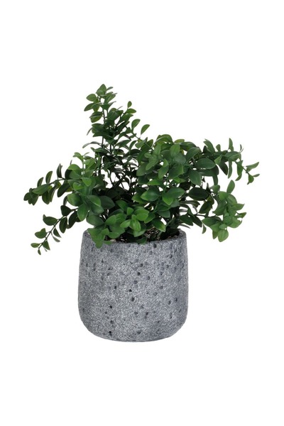 CATIANO Ghiveci Decorativ din Ciment Gri cu Planta Artificiala Verde Ø13x30cm
