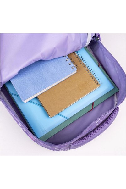 Frozen Set de 2 piese: rucsac de 41 cm și penar dublu, violet multicolor