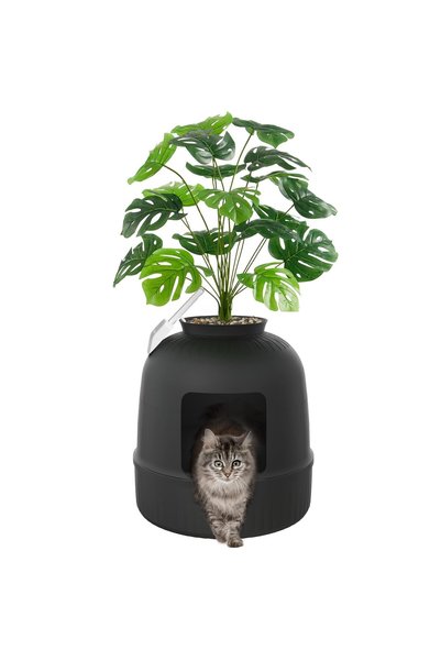 Lifewit Cat Litter Tray Flower Pot with Plant & Shovel, Cat Litter Tray White