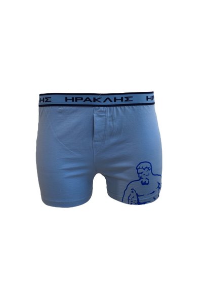 Apple Boxer ΗΡΑΚΛΗΣ men's boxer with external elastic 0110581 Ανοιχτό Μπλε