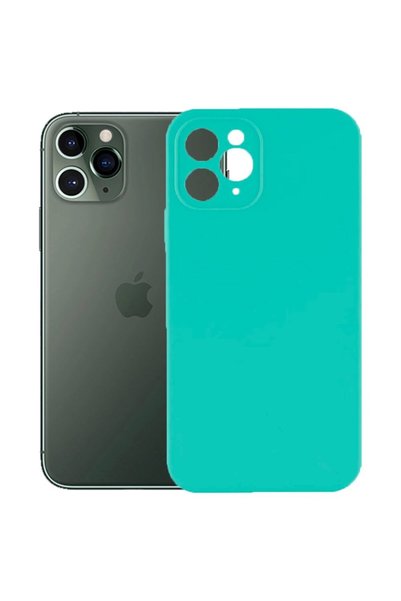FONIX Protective case, velvet interior, compatible with Apple iPhone 11 Pro M...