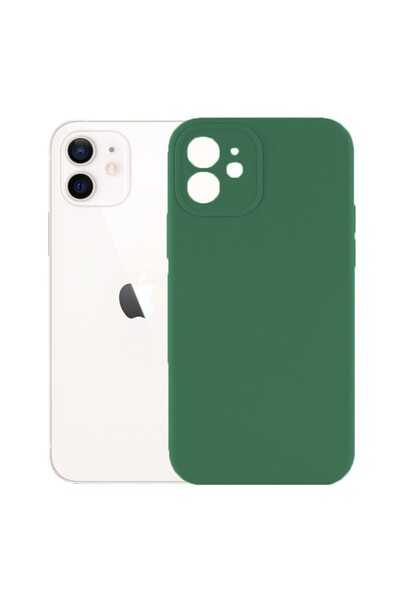 FONIX Protective case, velvet interior, compatible with Apple iPhone 12, Bloo...