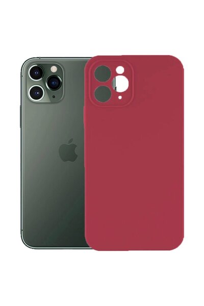 FONIX Protective case, velvet interior, compatible with Apple iPhone 11 Pro M...