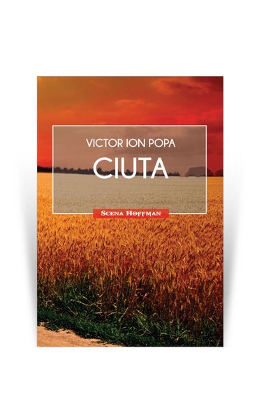 Editura Hoffman Ciuta - Victor Ion Popa